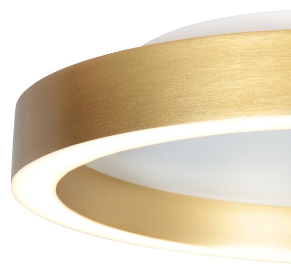 Steinhauer LED stropna svetilka Ringlux zlata barva, Ø 40 cm, kovina, 2700 K, zatemnjen, Zlata / medeninasta, Dnevna soba / jedilnica, Kovina, Sodobni