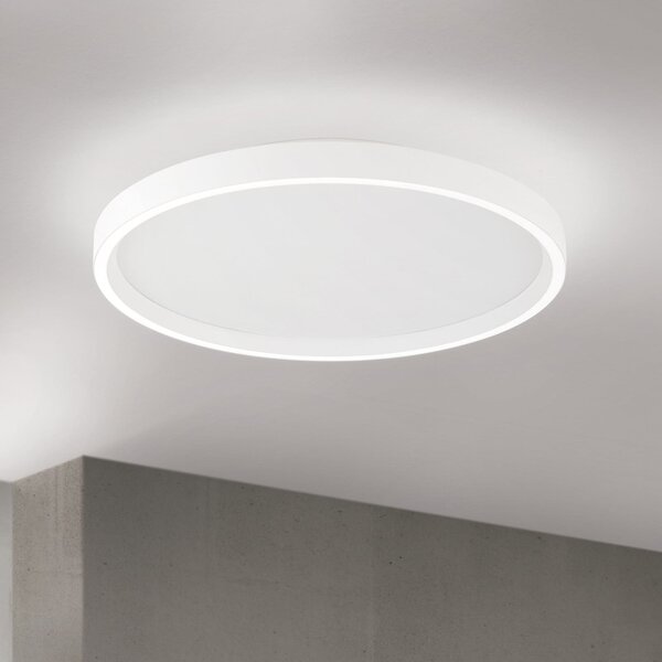 ORION LED stropna svetilka Masca, bela, Ø 40 cm, CCT, kovina, z možnostjo zatemnitve, zatemnjen, Bela, Dnevna soba / jedilnica, Kovina, Sodobni