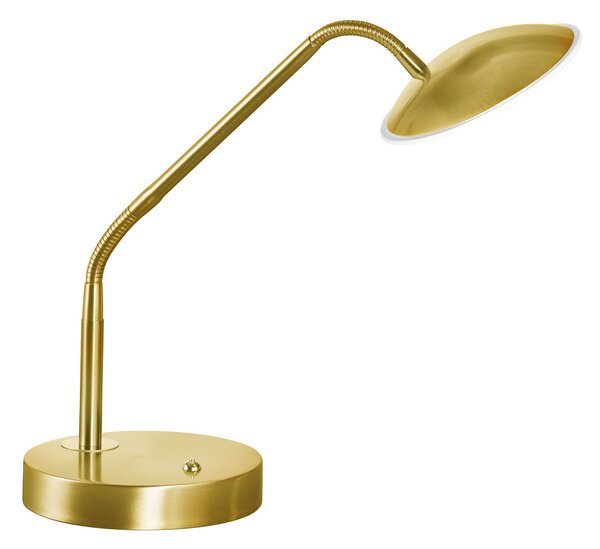 FISCHER & HONSEL LED namizna svetilka Tallri, medenina, višina 60 cm, CCT, dotik dimmer, zatemnjen, Zlata / medeninasta, Dnevna soba / jedilnica, Kovina, Sodobni