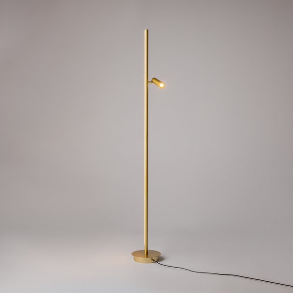 Maytoni LED-stoječa svetilka Thin, medenina, aluminij, višina 155 cm, dim, zatemnjen, Zlata / medeninasta, Dnevna soba / jedilnica, Aluminij, Sodobni