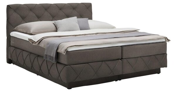 Premium Living Postelja Boxspring Cordoba, Temno Rjava, 160x200