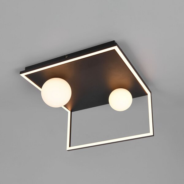 Trio Lighting LED stropna svetilka Arola, črna mat, širina 37 cm, kovina, zatemnjen, Črna, Dnevna soba / jedilnica, Kovina, Sodobni