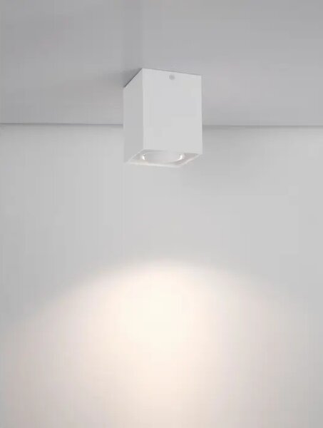 Talna svetilka RENDE BELA GU10 1x10 W IP20 AC220-240 V NL9030428