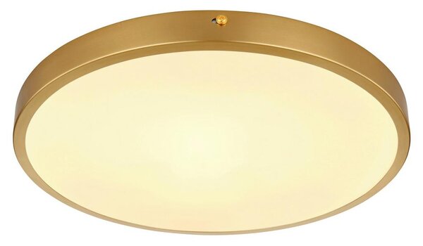 Globo Stropna Led-svetilka 12381-22