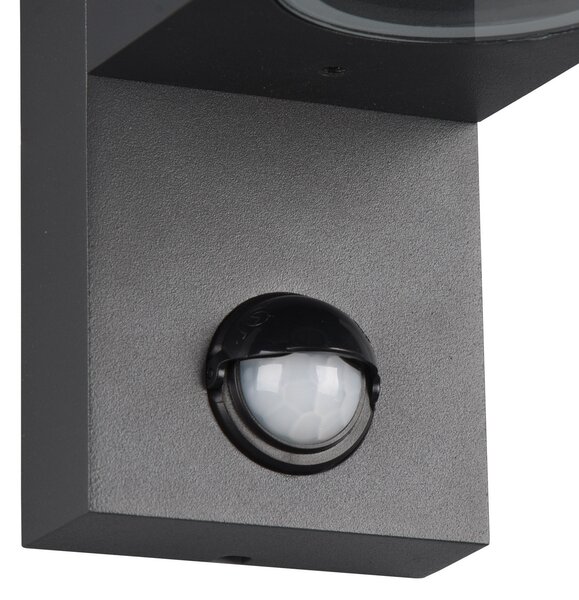 Trio Lighting Zunanja stenska svetilka Roya 2flg, senzor, okrogla antracitna, zatemnjen, Črna, Kovina, Sodobni