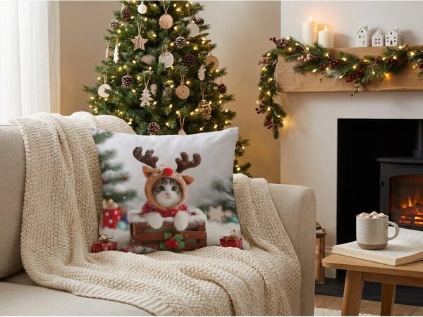 Set 2 prevlek za vzglavnik 3D RUDOLPH MUCEK 45x45 cm