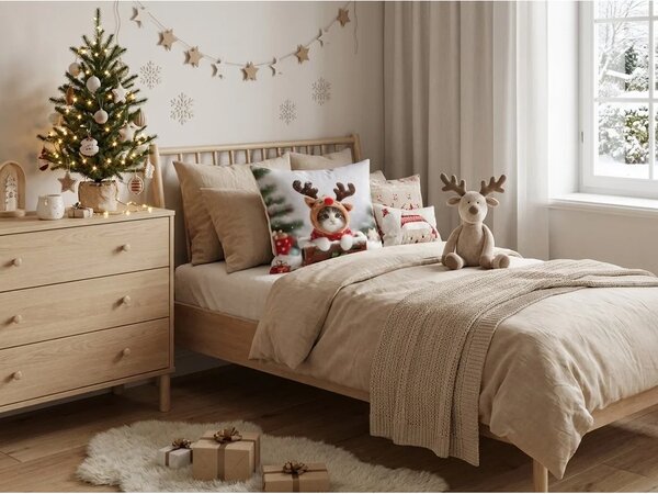 Set 2 prevlek za vzglavnik 3D RUDOLPH MUCEK 45x45 cm