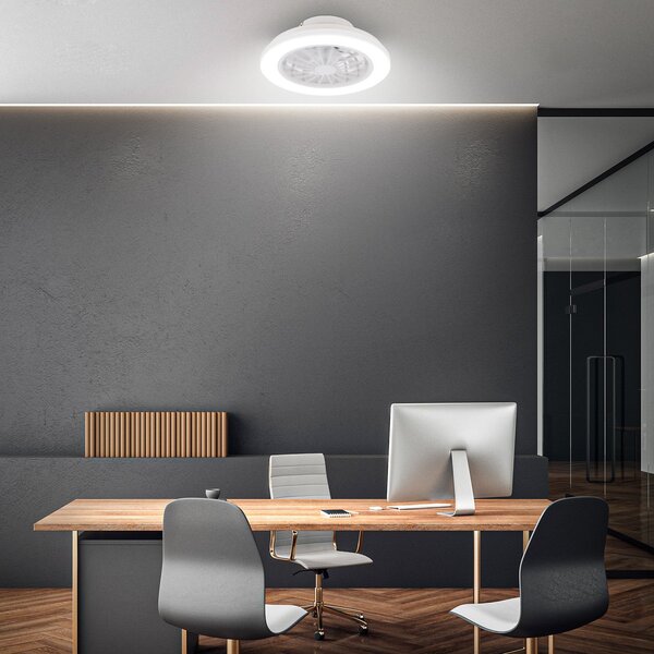 Briloner LED stropni ventilator Pafo, bel, plastika, CCT, daljinski upravljalnik, zatemnjen, Bela, spalnica, Plastika