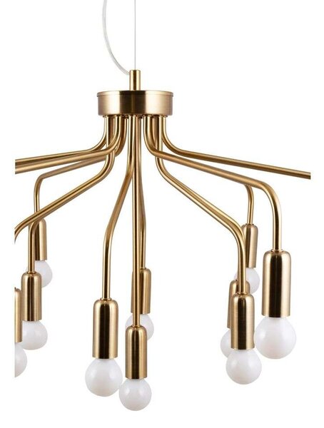 Globen LightingGloben Lighting - Roots 70 Obesek Svetilka Brushed Brass Globen Lighting