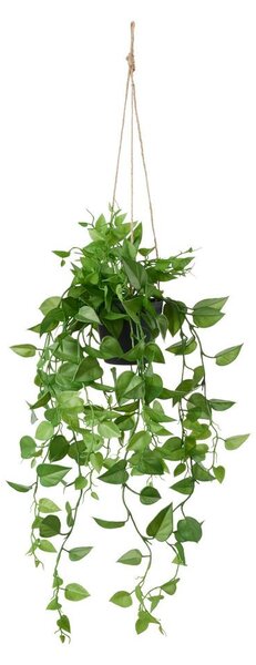 Modern Living Umetna Rastlina Philodendron Ii