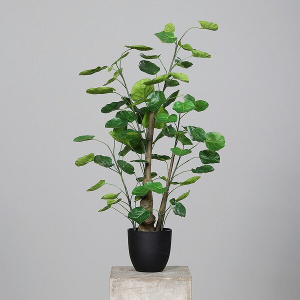 OKRASNA RASTLINA 90 cm
