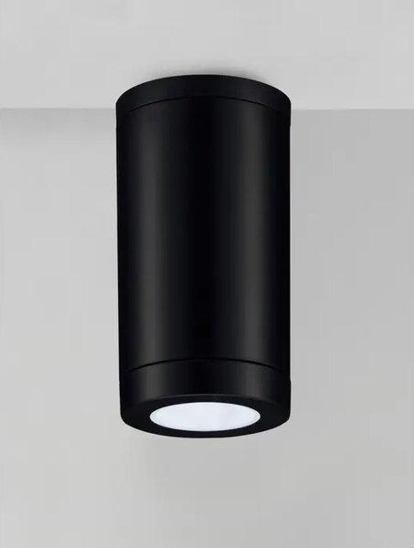 ZUNANJI STROPNI REFLEKTOR GU10 1x10 W \r\nIP54 ČRNA NL9030821