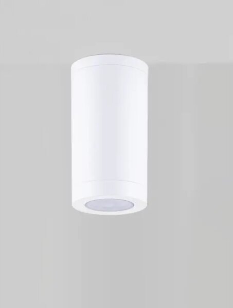 ZUNANJI STROPNI REFLEKTOR 1×GU10/230V IP54 BEL NL9030822