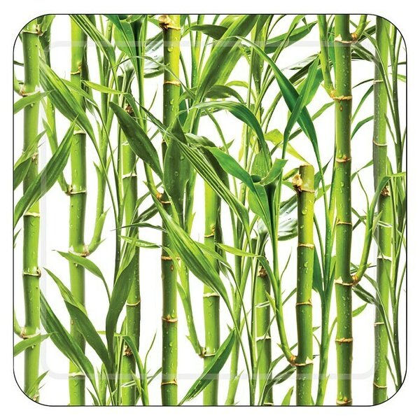 Diaqua Protizdrsna preproga Smoothie Bamboo (54,5 x 54,5 cm, PVC, Zelene barve/bele barve)