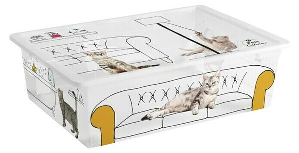 Keter Zaboj za shranjevanje Pets Collection (Do x Š x V: 38,5 x 55 x 16,5 mm, Plastika)