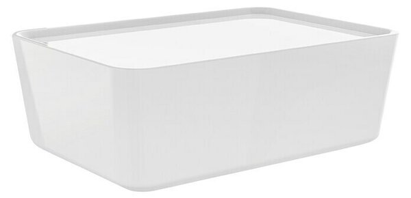 Regalux Zaboj za shranjevanje R-Box (Do x Š x V: 17 x 13 x 8 cm, Plastika, Bele barve)
