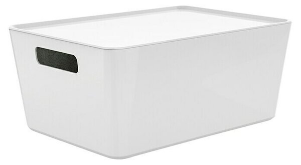 Regalux Zaboj za shranjevanje R-Box (Do x Š x V: 33 x 24 x 14 cm, Plastika, Bele barve)
