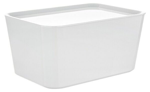 Regalux Zaboj za shranjevanje R-Box (Do x Š x V: 24 x 8 x 16 cm, Plastika, Bele barve)