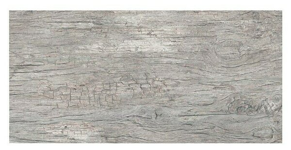 Momastela Granitogresne ploščice Radice Grigio (62 x 31 cm, Siva, Mat)