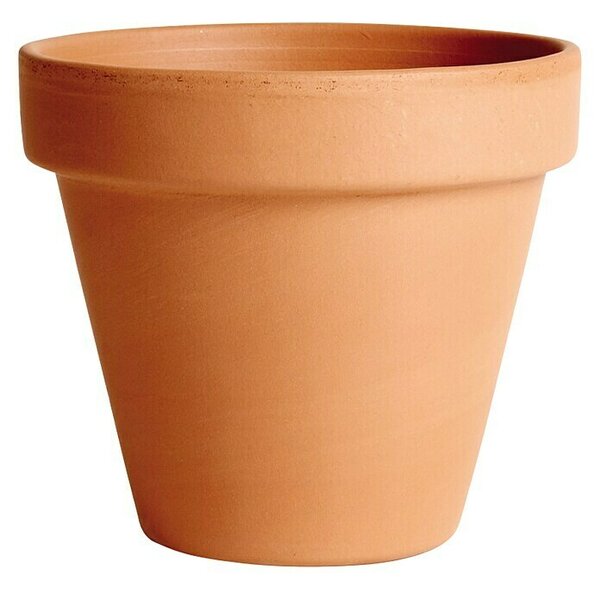 Cvetlični lonec Standard (Maksimalni zunanji premer: 25 cm, Terakota)