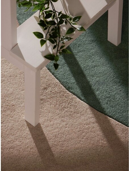 Ročno tkana volnena preproga 120x170 cm Westminster Cecil – Ted Baker