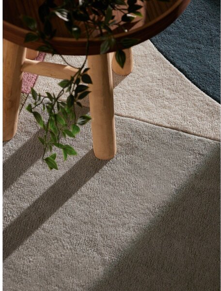 Ročno tkana volnena preproga 120x170 cm Westminster Curzon – Ted Baker
