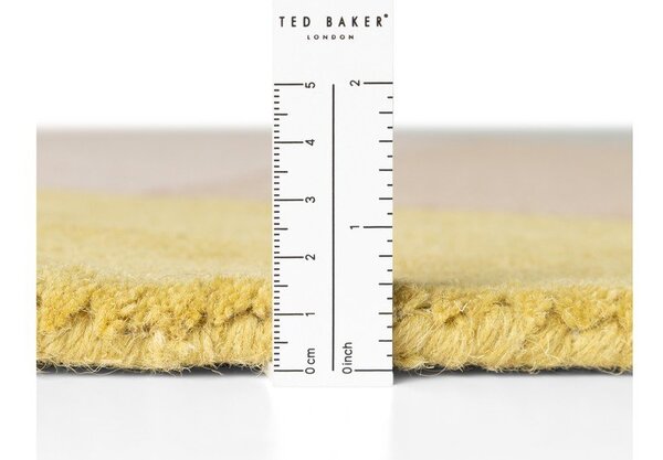Ročno tkana volnena preproga 120x170 cm Westminster Piccadilly – Ted Baker
