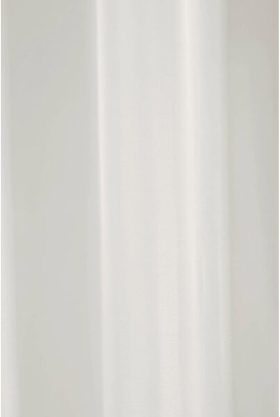 Prosojna zavesa iz tančice v naravni barvi 135x245 cm Uni – Sehlbach