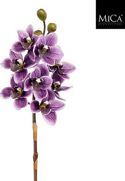 Mömax Okrasna Rastlina Vanda