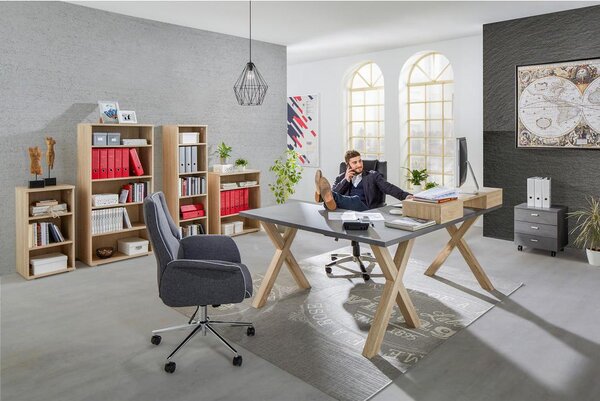 Mömax Nastavek Za Pisalno Mizo Mister Office, Hrast