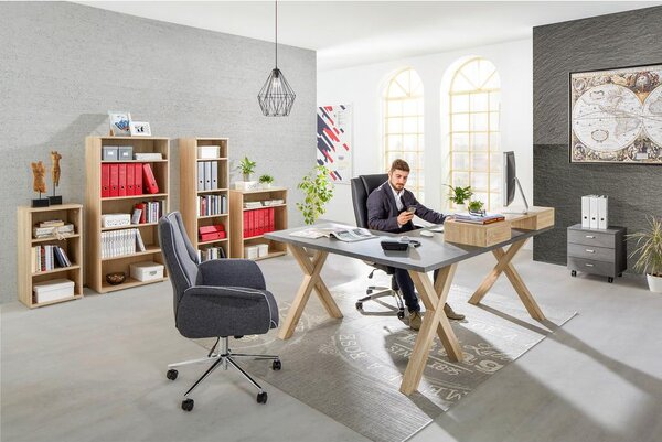 Mömax Nastavek Za Pisalno Mizo Mister Office, Hrast