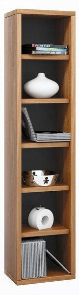 Mömax Regal Elementa, Oreh