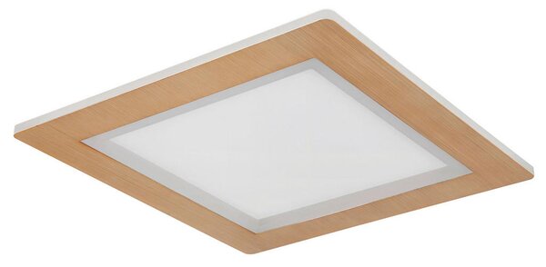 STROPNA LED-SVETILKA Clay 2700+6500 K 230 V