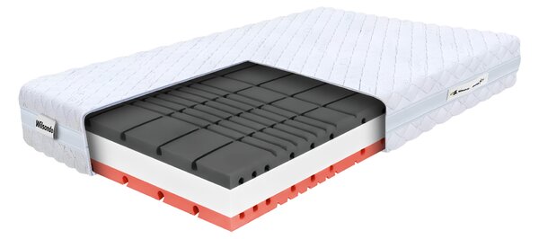 Wilsondo Pena vzmetnica z 2 vzglavnikoma Amico 140x200x22 - Prevleka Silver
