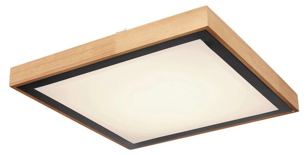 STROPNA LED-SVETILKA 3000/4500/6000 K 230 V