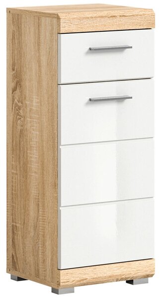 SPODNJA OMARICA 37/88/31 cm