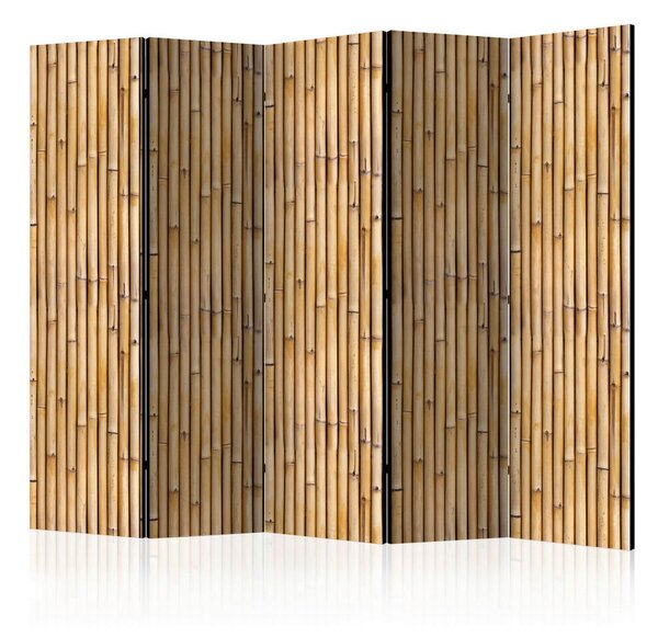 PARAVAN 225/172/3 cm rjava, bež