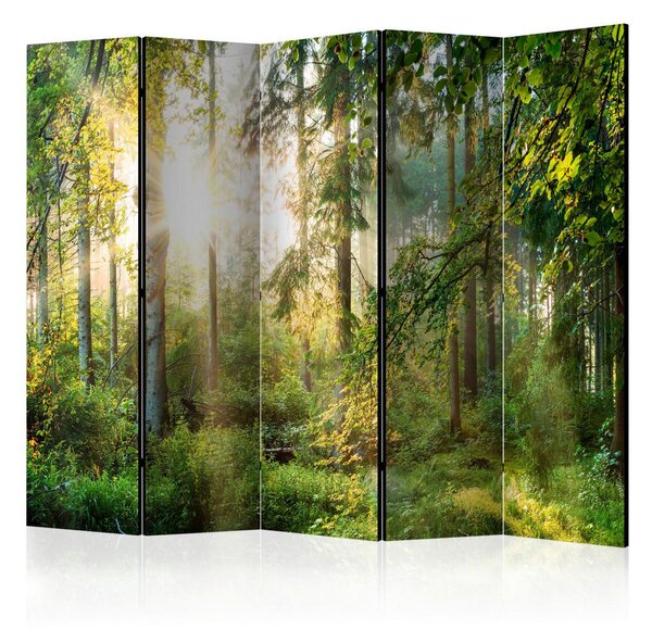 PARAVAN 225/172/3 cm temno zelena, svetlo zelena