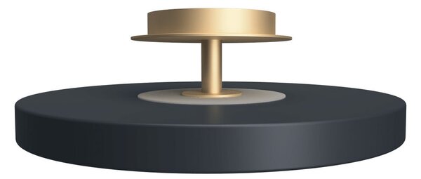 UMAGE LED stropna svetilka Asteria UP PLUS, antracit Ø 31 cm CCT, zatemnjen, Črna, Dnevna soba / jedilnica, Kovina, Dizajn
