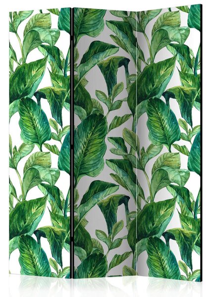 PARAVAN 135/172/3 cm zelena, bela