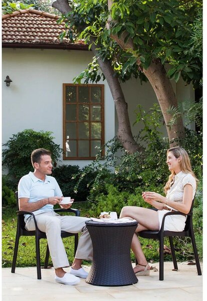 Okrogla vrtna miza s prostorom za led 49.5x49.5 cm Cool – Keter