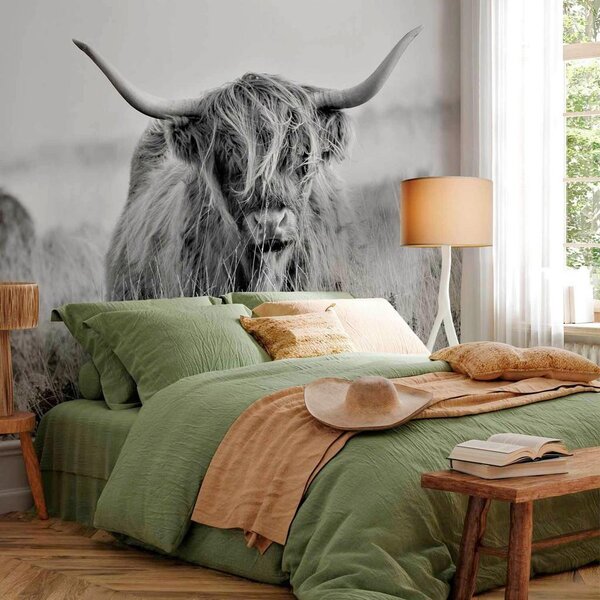 Artgeist Fototapeta Highland Cattle, 100x70cm