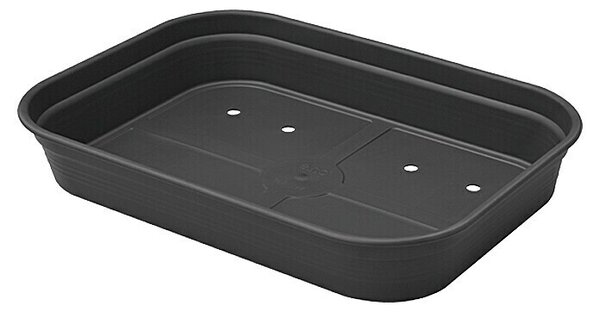 Elho Green Basics Pladenj za gojenje (36 x 26 x 6 cm, Črne barve)