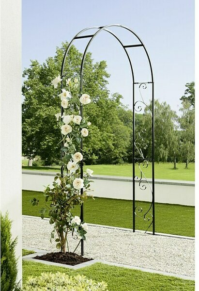 Gardol Lok za vrtnice Elian (26 x 120 x 240 cm)