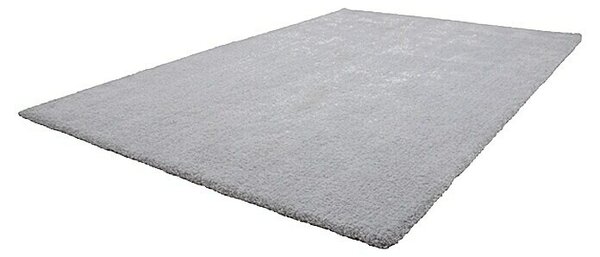 Preproga z visokim florom Super Soft Shaggy (Srebrna, 170 x 120 cm, 100 % poliester (Flor))