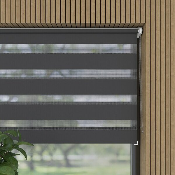 Expo Ambiente Dvojni rolo Mini (Š x V: 45 x 150 cm, Sive barve)