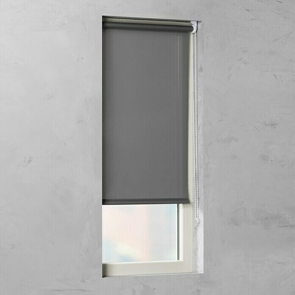 Rolo Basic (Š x V: 80 x 175 cm, Sive barve, Univerzalen, Prepustnost za dnevno svetlobo)