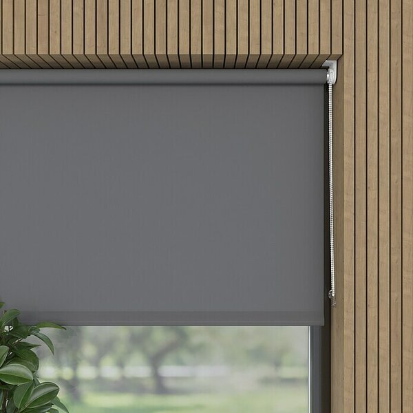Rolo Mini - osnovni (Š x V: 60 x 150 cm, Sive barve, Univerzalen, Prepustnost za dnevno svetlobo)