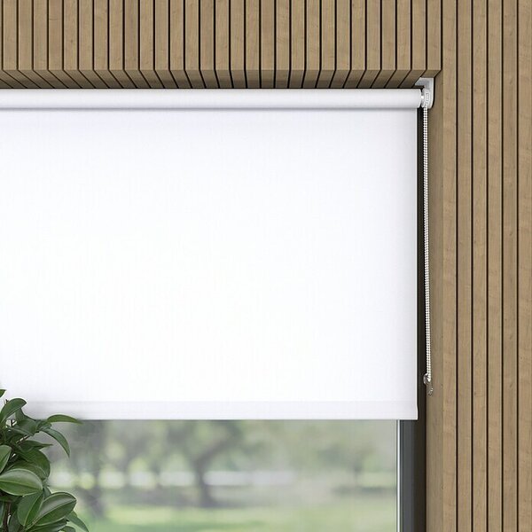 Rolo Mini - osnovni (Š x V: 60 x 150 cm, Bele barve, Univerzalen, Prepustnost za dnevno svetlobo)