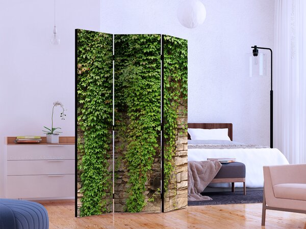 Paravan - Ivy wall